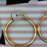 Silver Earring