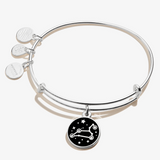 Alex & Ani Jewelry