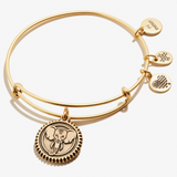 Alex & Ani Jewelry