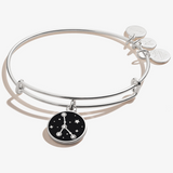 Alex & Ani Jewelry