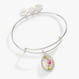 Alex & Ani Jewelry