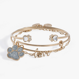 Alex & Ani Jewelry