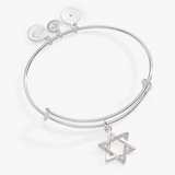 Alex & Ani Jewelry