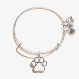 Alex & Ani Jewelry