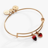 Alex & Ani Jewelry