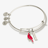 Alex & Ani Jewelry