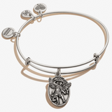 Alex & Ani Jewelry
