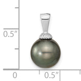 14k White Gold 9-10mm Black Round Tahitian Saltwater Cultured Pearl Pendant XF462