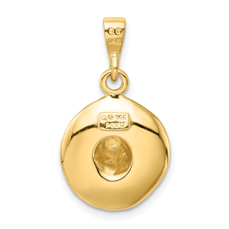 14K  3-D Sombrero Pendant K6115