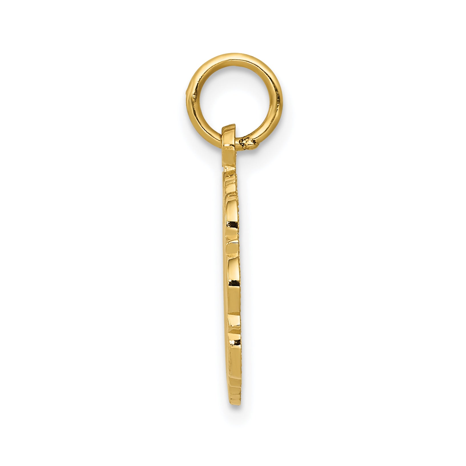 14k RN Registered Nurse Textured Back Disc Charm C1784