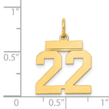 14k Small Polished Number 22 Charm LS22