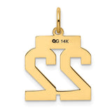 14k Small Polished Number 22 Charm LS22