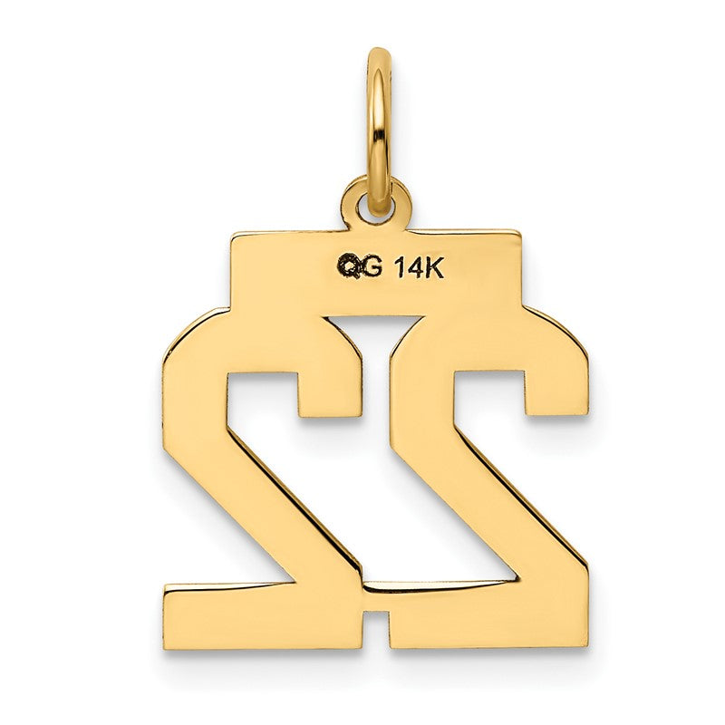 14k Small Polished Number 22 Charm LS22