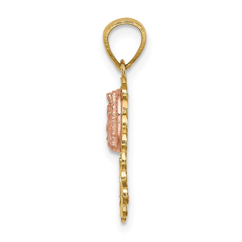 14K Two-tone with White Rhodium Our Lady of Guadalupe 15 Pendant C4746