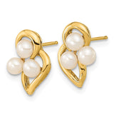 14k 3-4mm White Button Freshwater Cultured Pearl Post Earrings XF602E