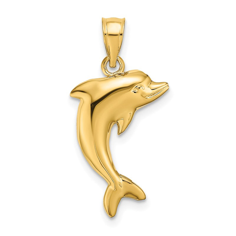 14k Polished Dolphin Charm K4875
