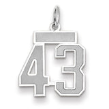 14kw Small Satin Number 43 Charm WSS43