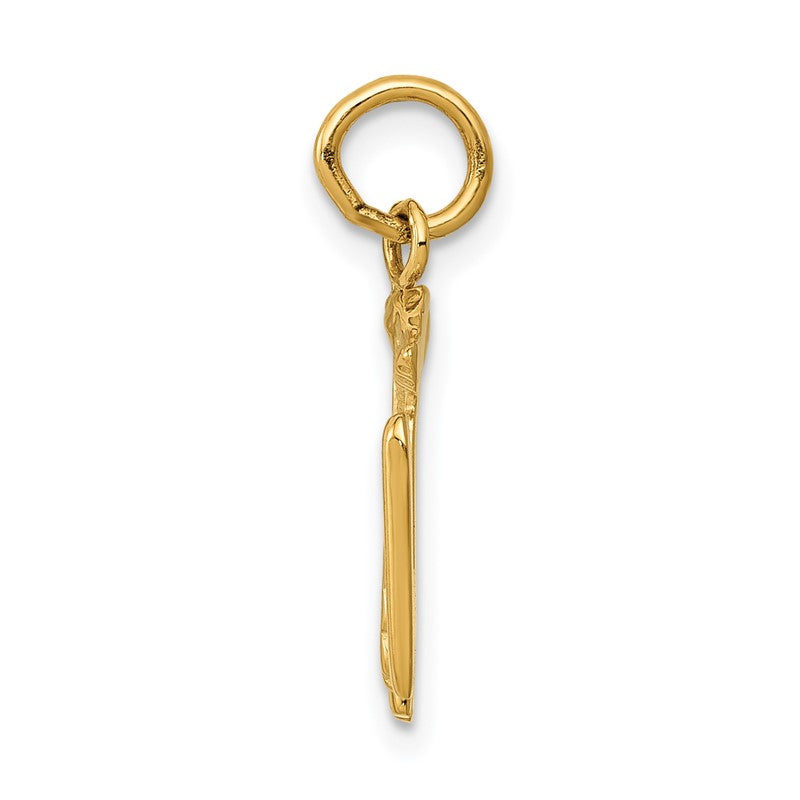 14k RN Registered Nurse Charm A0390