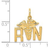 14k RN Registered Nurse Charm A0390