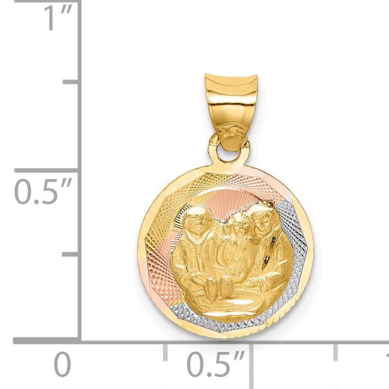 14K with Rose and White Rhodium Diamond-cut Baptism Round Pendant K5674