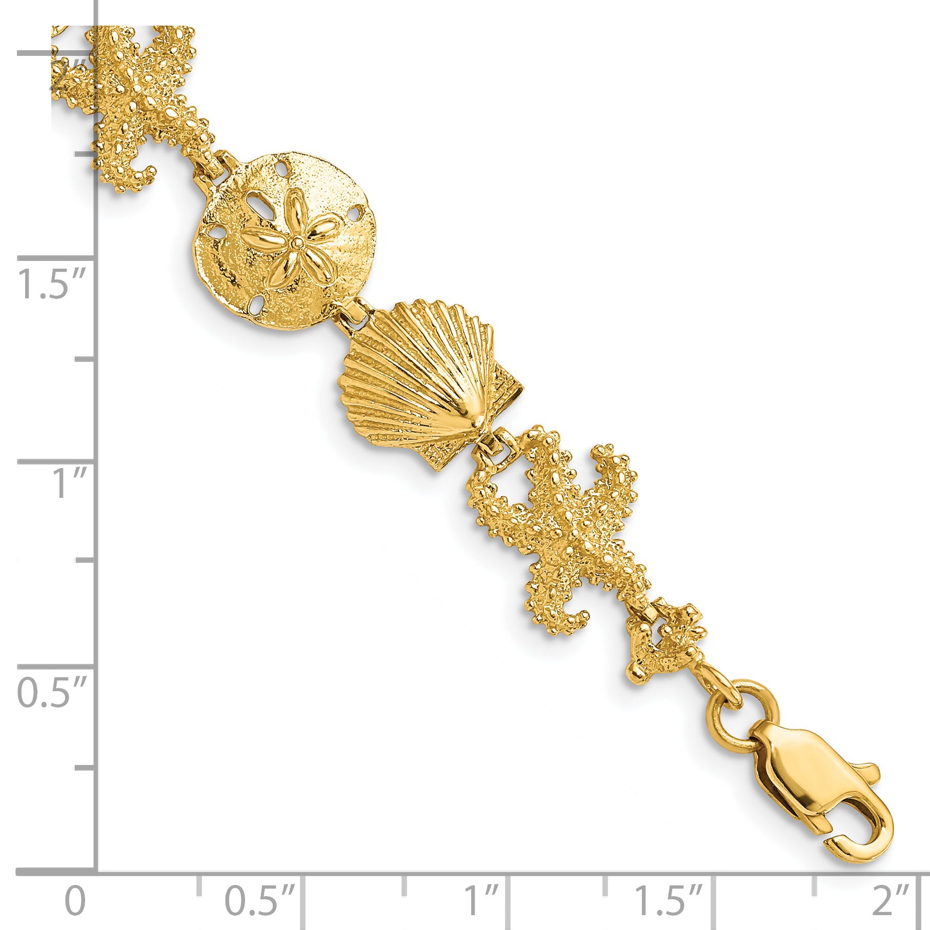 14k Polished Seashell Theme 7.25 inch Bracelet FB1143