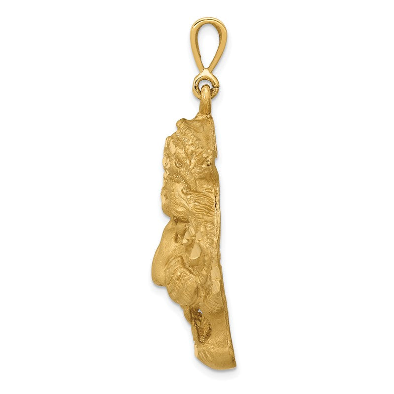 14k Large Satin Diamond-cut Tiger Head Pendant C1158