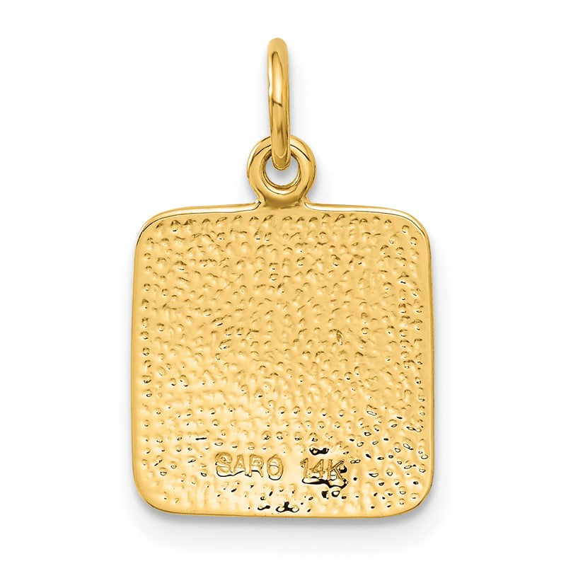 14K Satin and Diamond-Cut Angel Square Charm C346