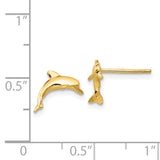 14k Dolphin Post Earrings TE622