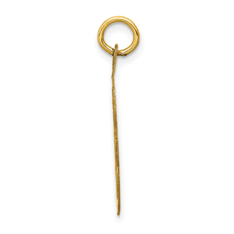 14k GRADUATION DAY with Cap 20mm Engravable Disc Charm XAC36