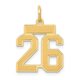 14k Small Satin Number 26 Charm LSS26