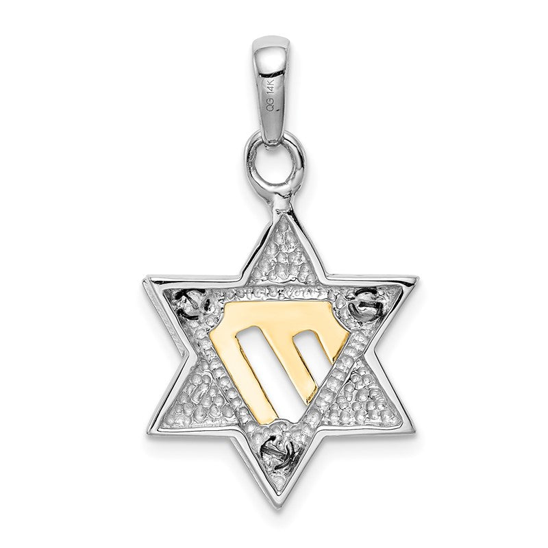 14k Two-tone Star of David Pendant K1272