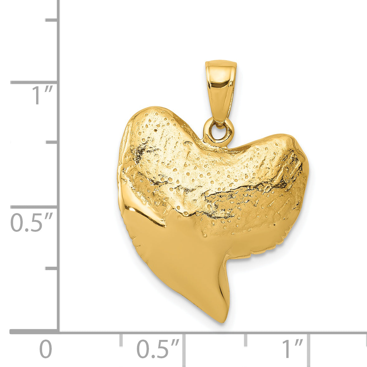 14K Solid Polished 3-D Shark Tooth Pendant C2613