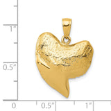 14K Solid Polished 3-D Shark Tooth Pendant C2613