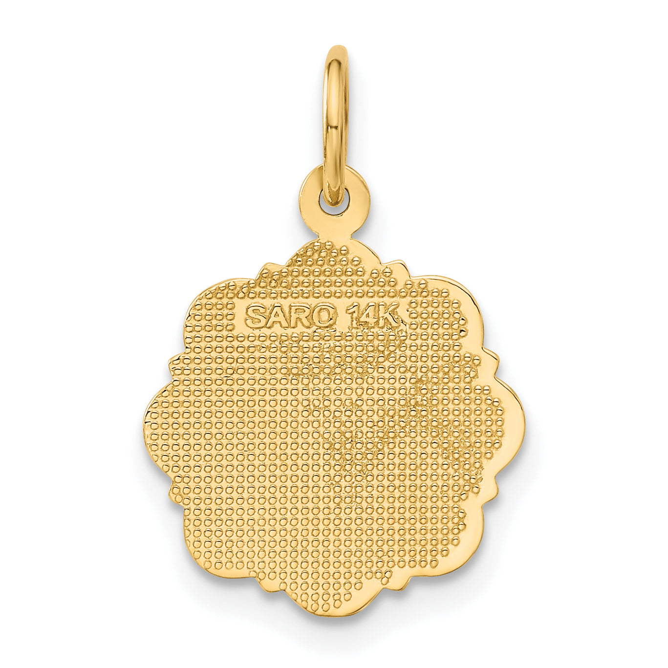 14k RN Registered Nurse Textured Back Disc Charm C1784
