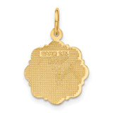 14k RN Registered Nurse Textured Back Disc Charm C1784