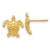14k Sea Turtle Post Earrings TC604