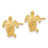 14k Sea Turtle Post Earrings TC604