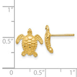 14k Sea Turtle Post Earrings TC604