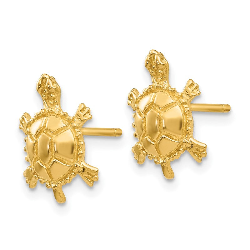 14k Polished Turtle Post Earrings TC598