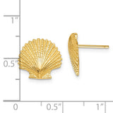 14K Scallop Shell Post Earrings K4454