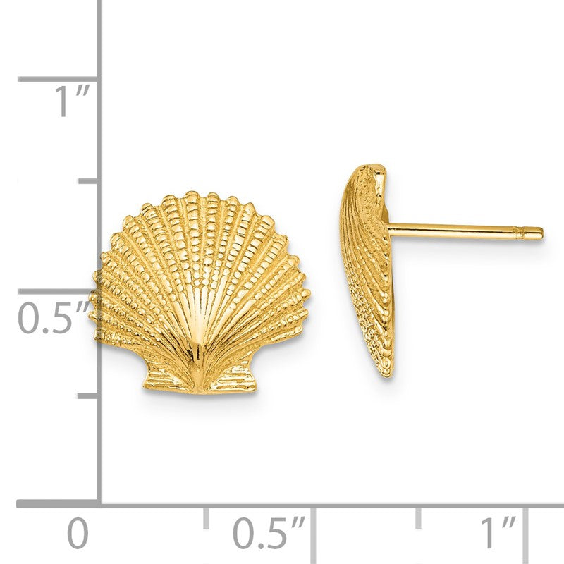 14K Scallop Shell Post Earrings K4454