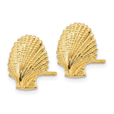 14K Scallop Shell Post Earrings K4454
