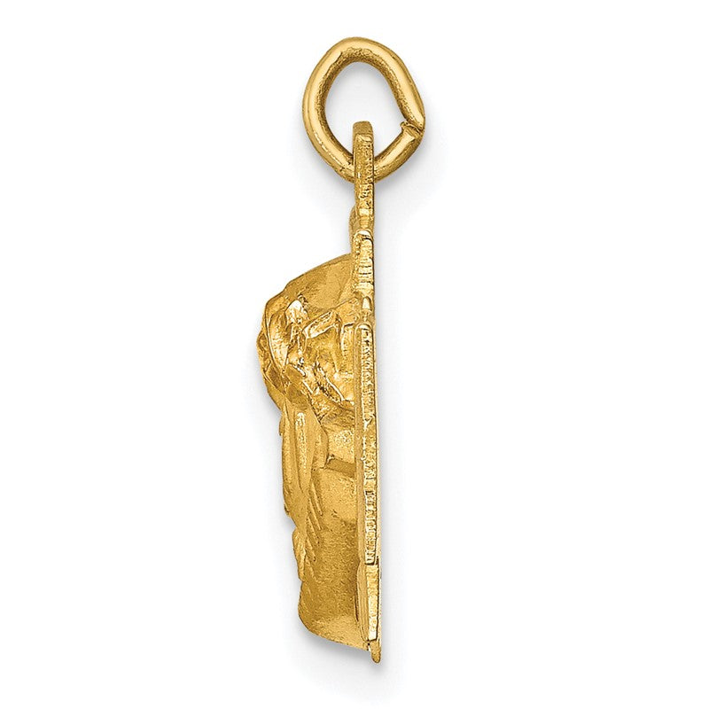 14k Hollow Polished and Satin Small Jesus Cross Medal XR1734