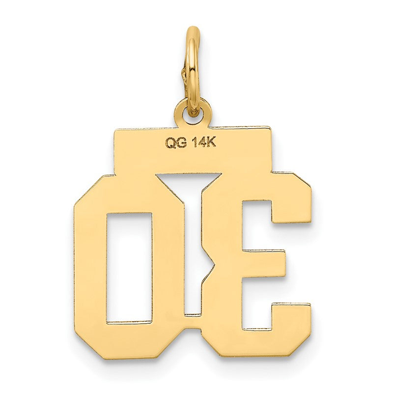 14k Small Satin Number 30 Charm LSS30