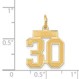 14k Small Satin Number 30 Charm LSS30