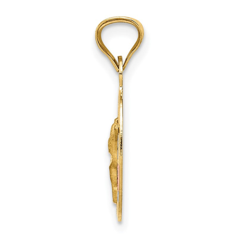 14K with Rose and White Rhodium Diamond-cut Corpus Oval Pendant K5615