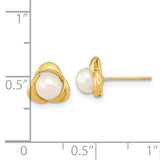 14k 5-6mm White Button Freshwater Cultured Pearl Post Earrings XF608E