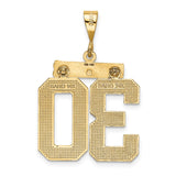14k Large Brushed Diamond-cut Number 30 Charm LN30