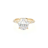 Yellow 14k Gold Hidden Halo Diamond Semi-Mount Ring | Size 6.5
