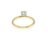 White & Yellow Gold Oval Semi-Mount Ring - 14K Shared Prong